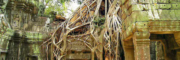 Vietnam Tours