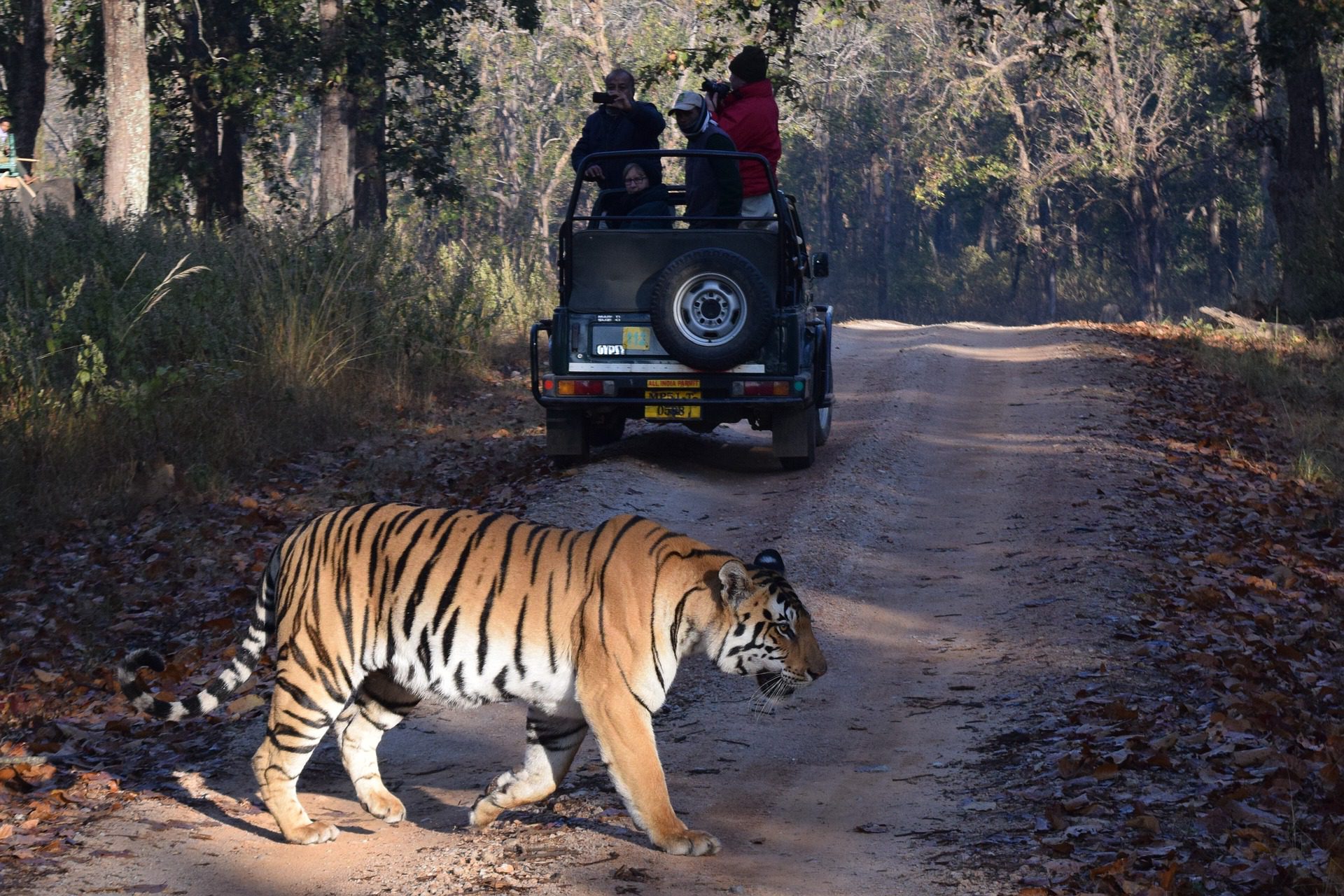 Ranthambhore-Nationalpark